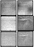 Imaging array filters 009, 019