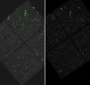 [Thumbnail image: Wavdetect source regions for ObsID 12220 and 2313]